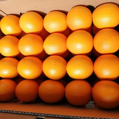 Fresh Naval Oranges 
